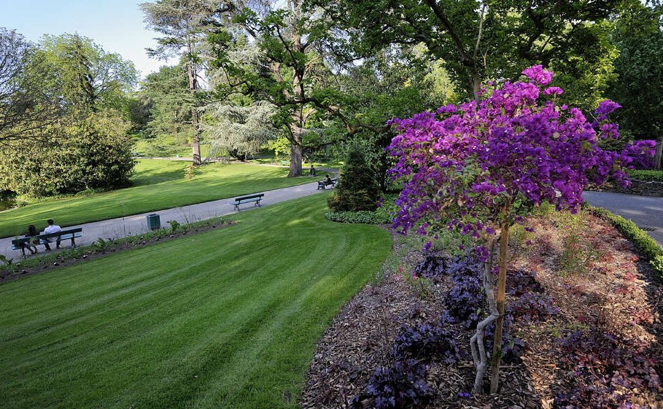 Jardin des plantes d'Angers, Angers, France, France